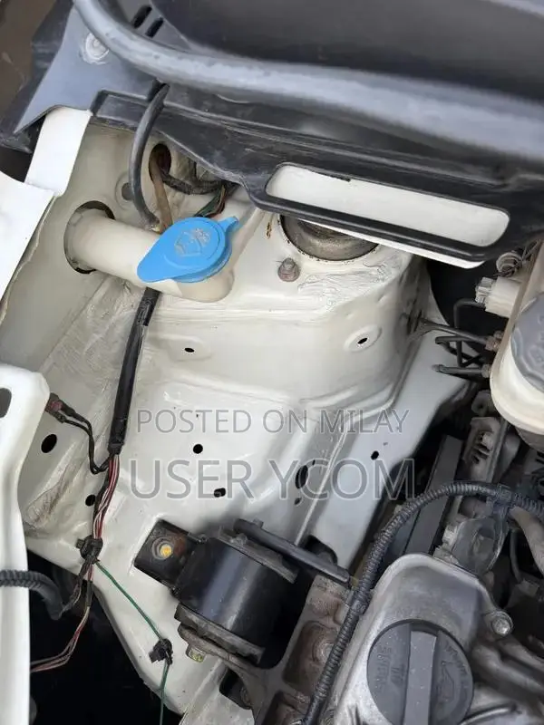 Wangnor VXL Home Used Car - Low Mileage Sedan