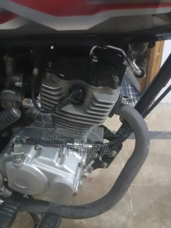 Honda CG 125 2024 Motorcycle - Brand New Model