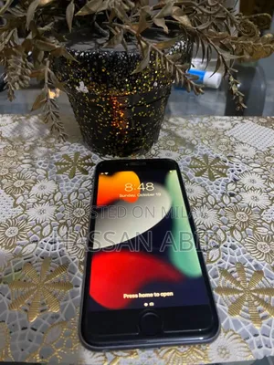 Apple iPhone 6s 32 GB Gray