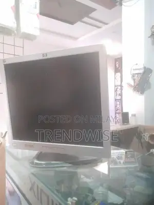 Photo - HP 19-Inch LCD Monitor - Professional Display