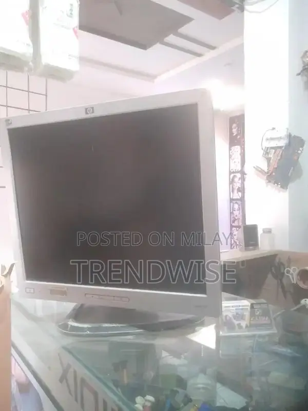 HP 19-Inch LCD Monitor - Professional Display