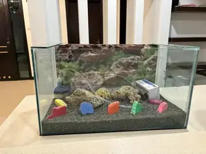 Large Aquarium with Filter, Motor, and Decorations
