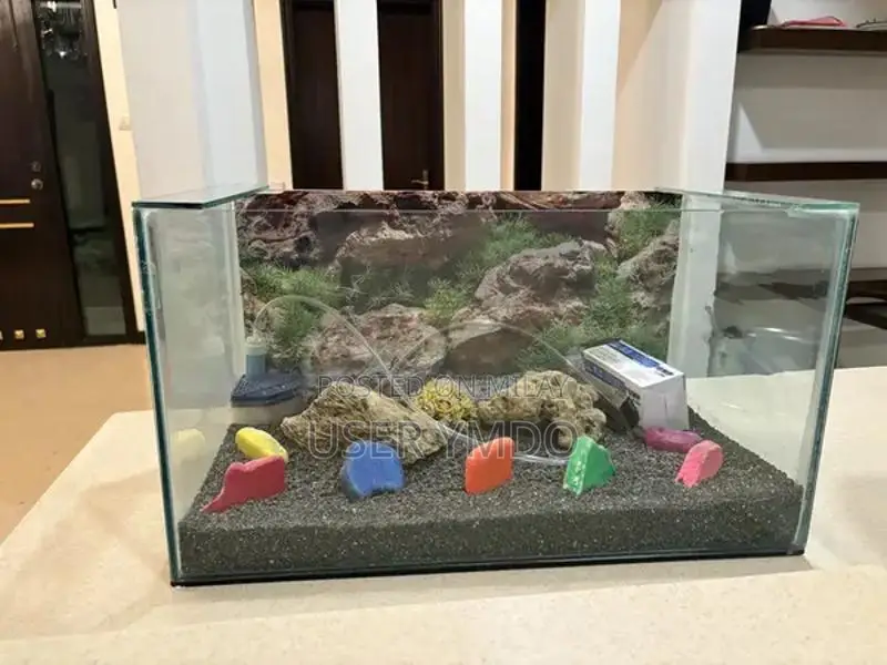 Large Aquarium with Filter, Motor, and Decorations