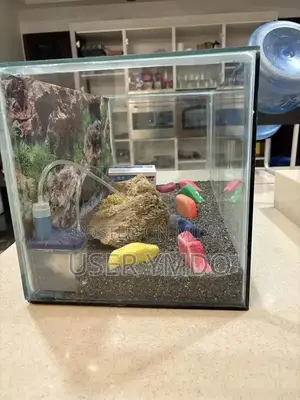 Large Aquarium with Filter, Motor, and Decorations