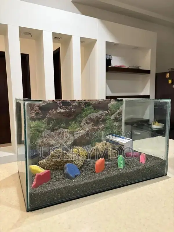 Large Aquarium with Filter, Motor, and Decorations