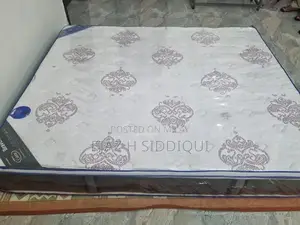 Master Molty Bravo Plus Queen Size Spring Mattress