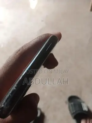 Apple Smartphone High-Capacity Storage Premium Model