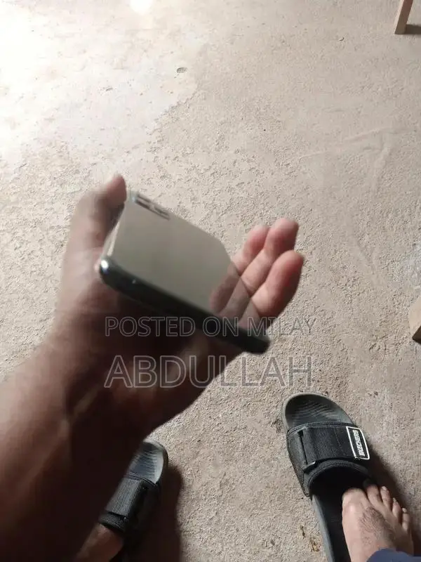 Apple Smartphone High-Capacity Storage Premium Model