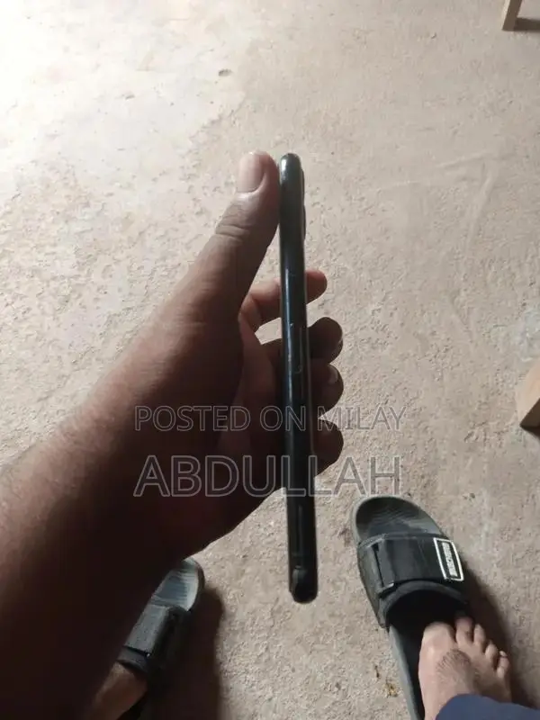 Apple Smartphone High-Capacity Storage Premium Model