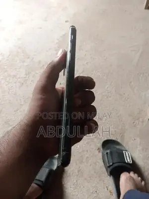 Apple Smartphone High-Capacity Storage Premium Model