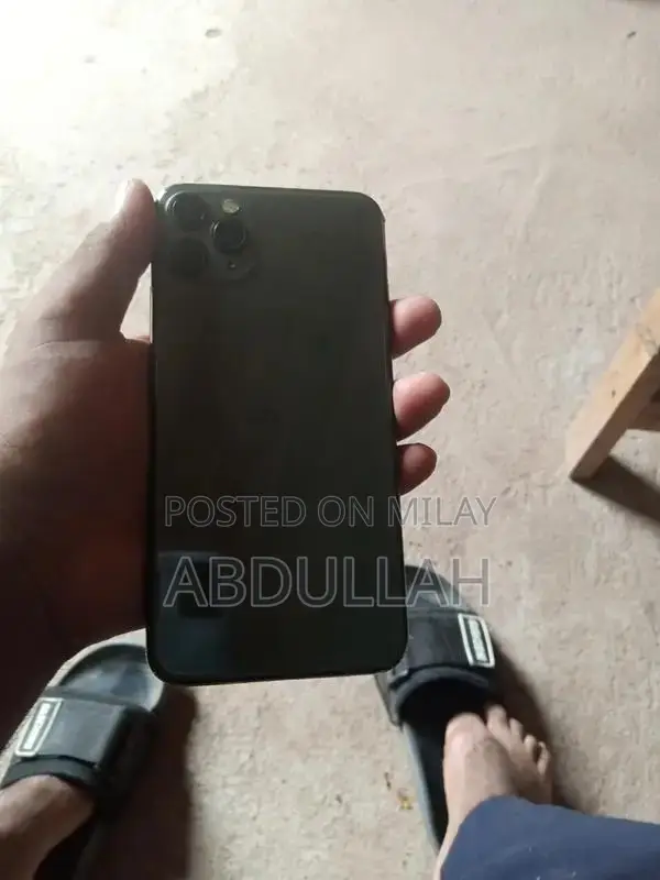 Apple Smartphone High-Capacity Storage Premium Model