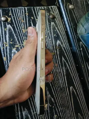 iPhone 12 Pro Max 128GB Gold Smartphone