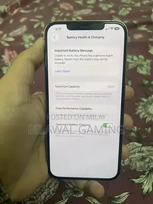 iPhone 12 Pro Max with Excellent Battery Health