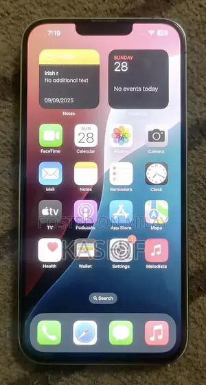 Apple iPhone 13 Pro Max 256GB Smartphone