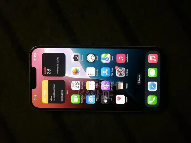 Apple iPhone 13 Pro Max 256GB Smartphone