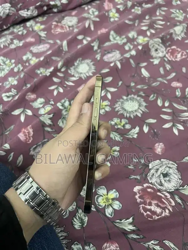 iPhone 12 Pro Max with Excellent Battery Health