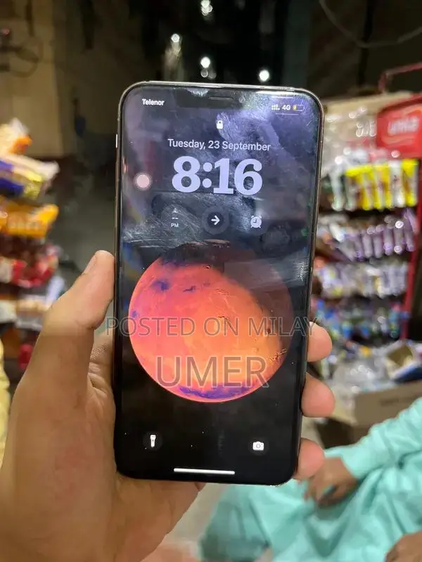 Apple iPhone XS Max 256GB Smartphone