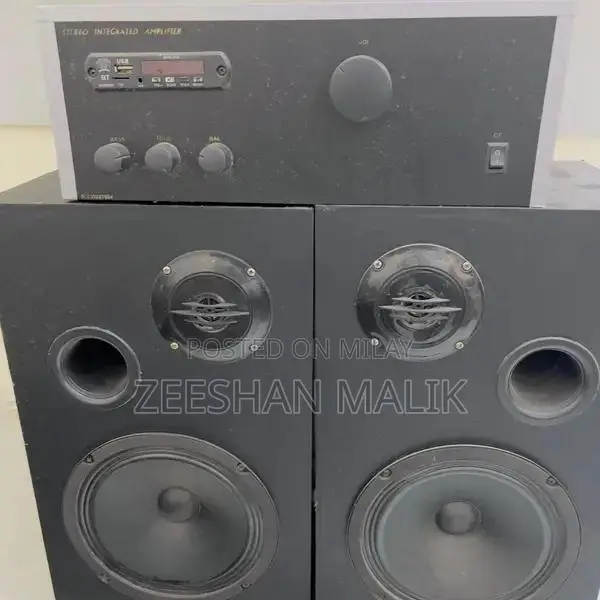 Handmade Stereo Speakers with Integrated Amplifier