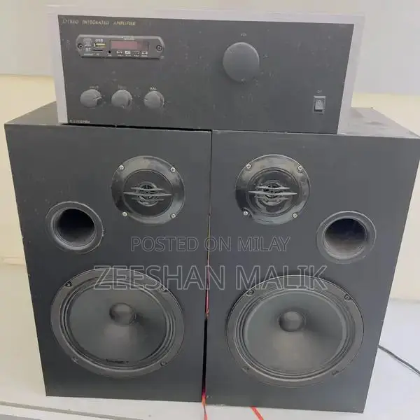 Handmade Stereo Speakers with Integrated Amplifier