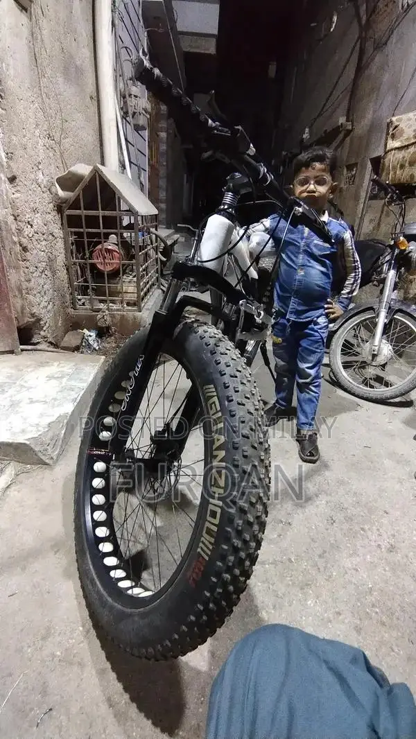 Sturdy Bicycle for Urban and Recreational Cycling