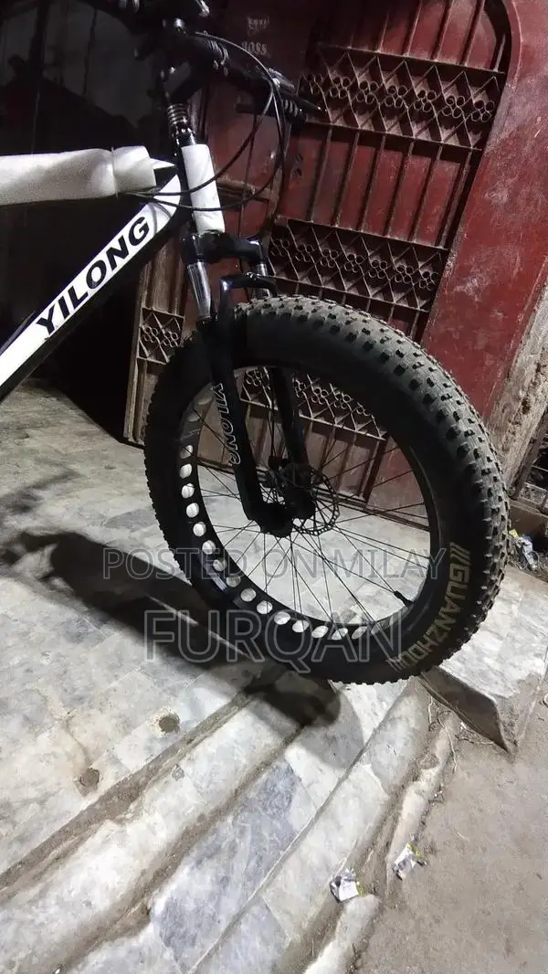 Sturdy Bicycle for Urban and Recreational Cycling