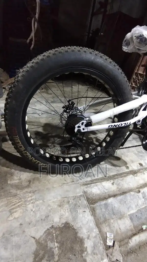 Sturdy Bicycle for Urban and Recreational Cycling