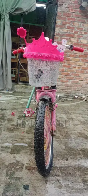 Girls Pink Imported Bicycle - 34 Inch Height Barbie Design