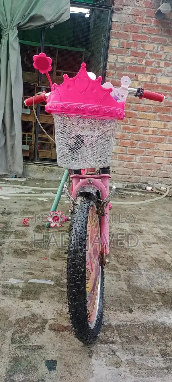 Girls Pink Imported Bicycle - 34 Inch Height Barbie Design