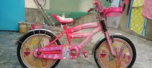 Girls Pink Imported Bicycle - 34 Inch Height Barbie Design