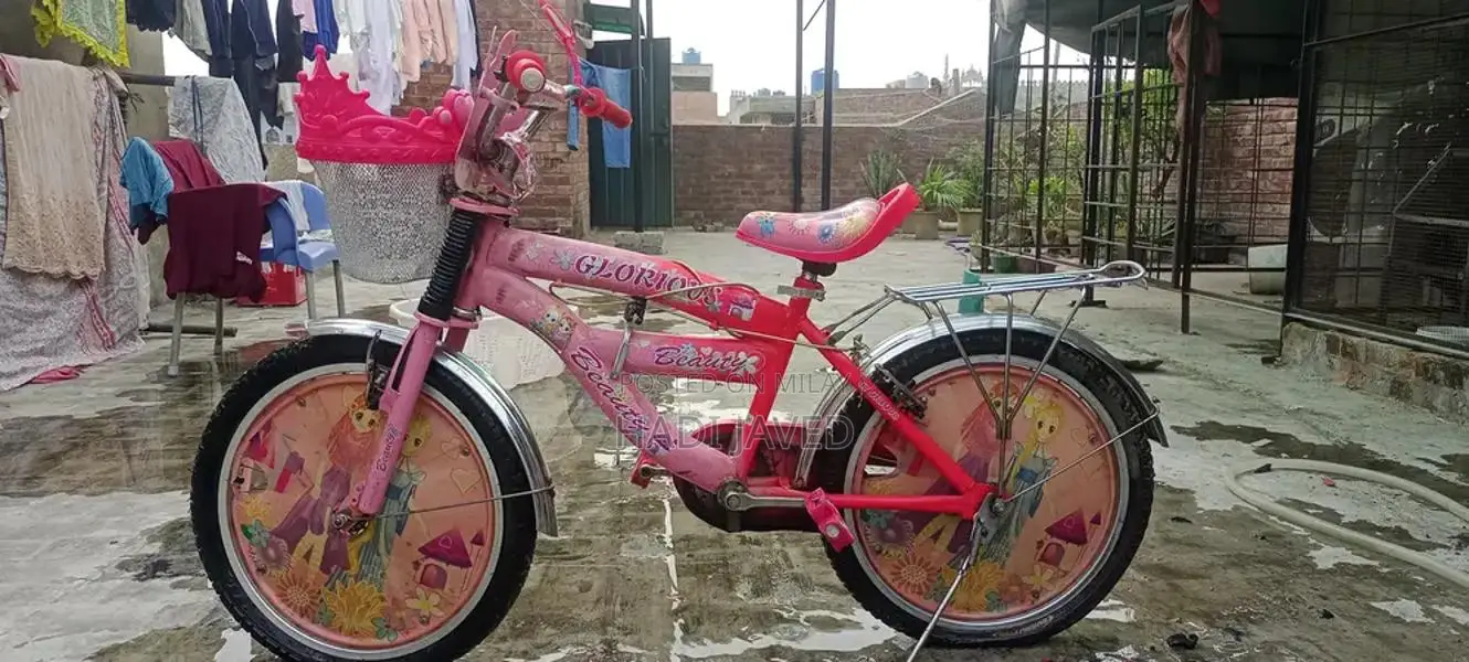 Girls Pink Imported Bicycle - 34 Inch Height Barbie Design