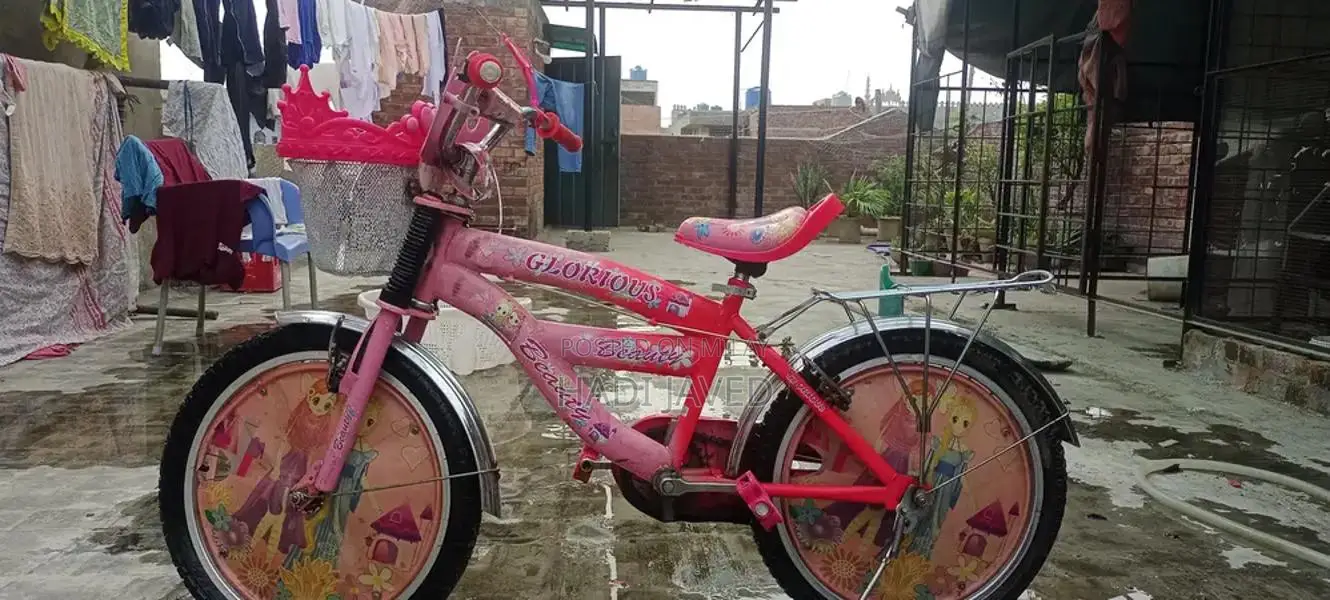 Girls Pink Imported Bicycle - 34 Inch Height Barbie Design