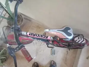 Red Cycle Bicycle - Compact Urban Riding Solution