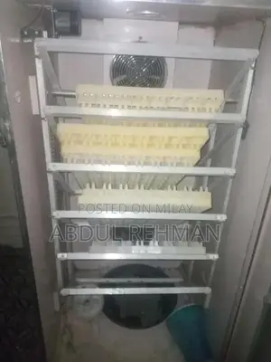 Automatic Egg Incubator with 6 Trays for High-Capacity Hatching