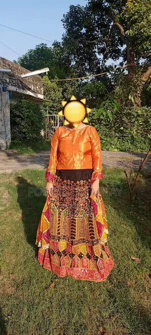 Elegant Heavy Embroidered Lehnga with Mirror Work and Shirt