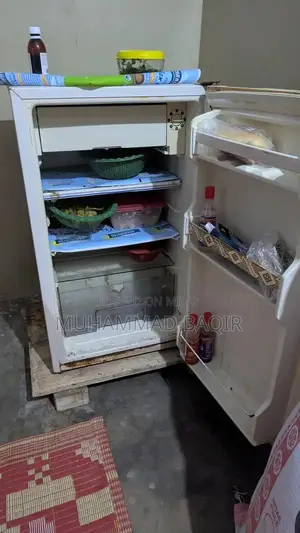 Photo - Refrigerator - Good Condition, Fully Functional Cooling System