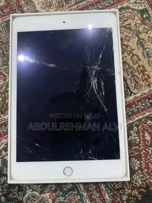 iPad Mini 5 64GB - Cracked Screen, Functional Device