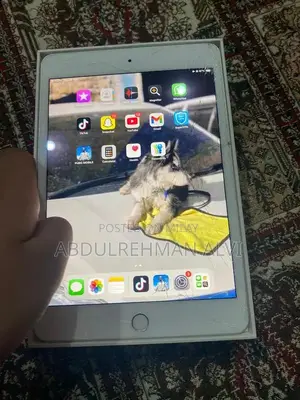 iPad Mini 5 64GB - Cracked Screen, Functional Device