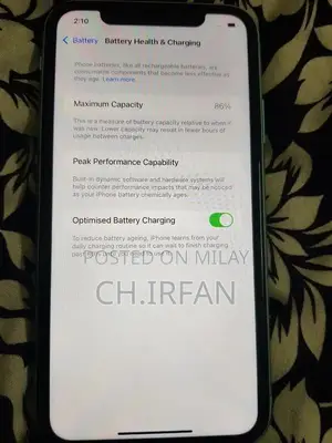 Ocean Green iPhone 11 64GB with High Battery Health