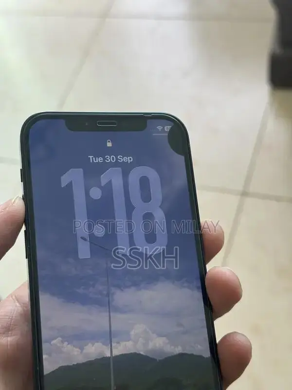 Pre-Owned iPhone 12 64GB with High Battery Health