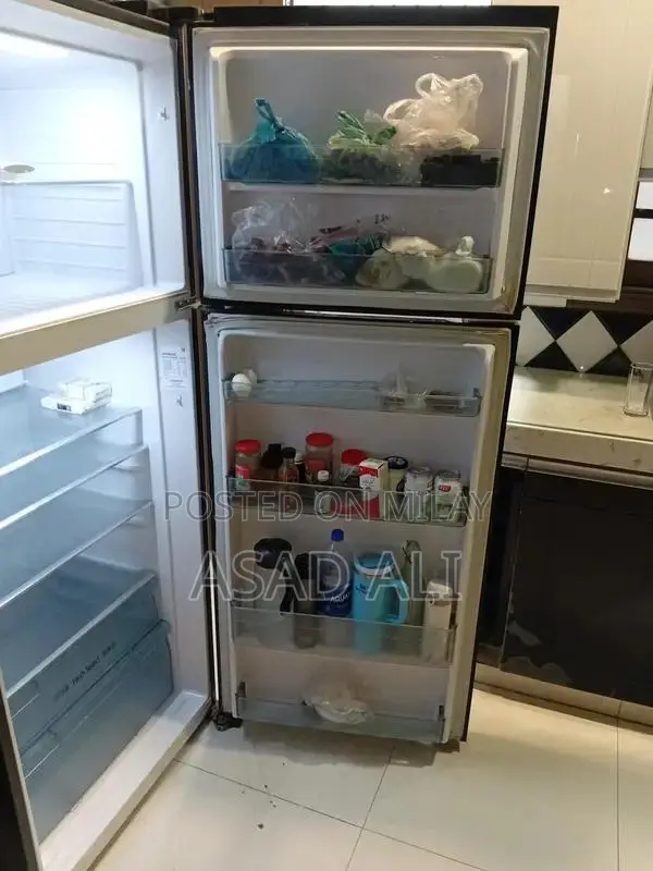 Inverter Dual Fan Cooling Refrigerator with Advanced Cooling Technolog