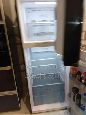 Inverter Dual Fan Cooling Refrigerator with Advanced Cooling Technolog