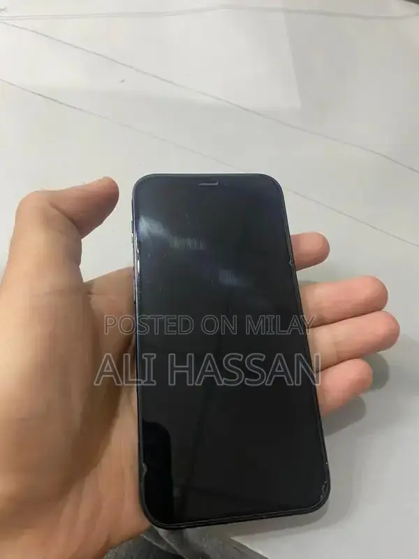 Compact iPhone 12 Mini Blue Smartphone