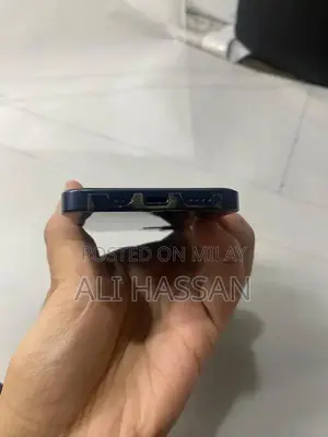 Compact iPhone 12 Mini Blue Smartphone