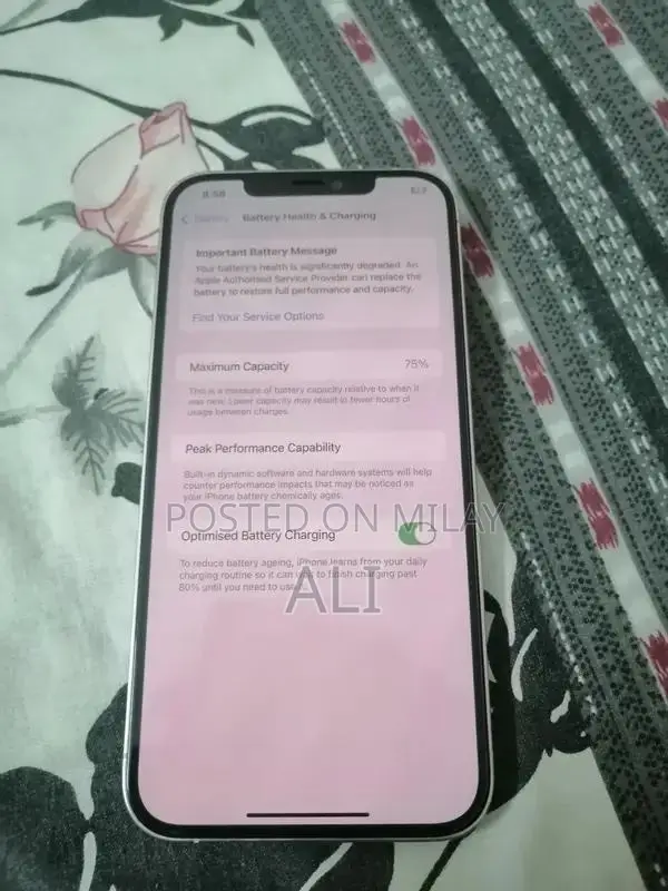 Apple iPhone 12 Pro Max 128GB Smartphone with Minor Touch Issue