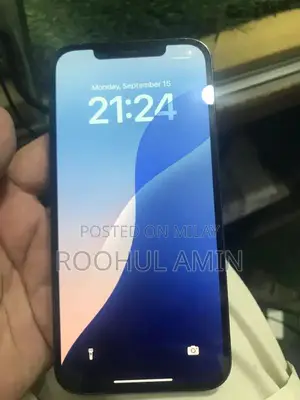 High-Performance 256GB Smartphone with Excellent Battery Health