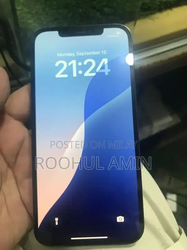 High-Performance 256GB Smartphone with Excellent Battery Health