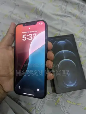 Apple iPhone 12 Pro Max Smartphone - 128GB Storage