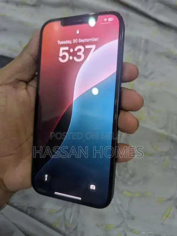 Apple iPhone 12 Pro Max Smartphone - 128GB Storage