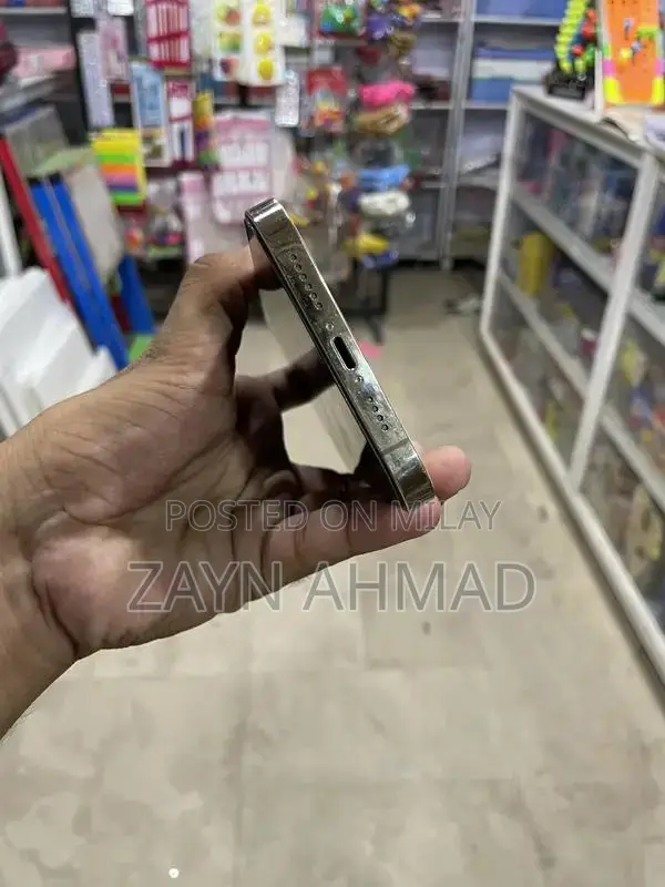 Premium Smartphone 256GB Storage High-Performance Device