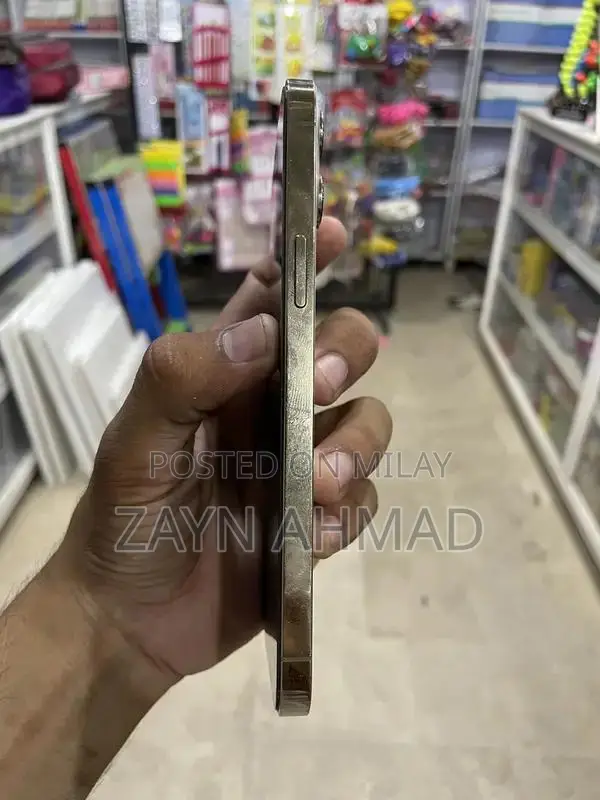 Premium Smartphone 256GB Storage High-Performance Device